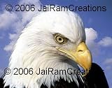 Eagle 11 x 14 Color Photograph (11-131) 41 IYhTZuzL. SL160 Yogananda 11 x 14 Color Photograph (11 34)