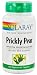 Prickly Pear - 100 - Capsule