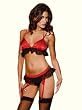 SeXy Red Bra Top Matching Garter Skirt Garters g-String Black Stocking Included Valentine Sale
