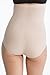 Spanx Higher Power Panties Style 2746