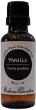 Vanilla 100% Pure Therapeutic Grade Essential Oil (10 fold)- 30 ml