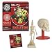 Ein-O's Human Biology: Skeleton Box Kit