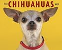 Just Chihuahuas 2009 Calendar