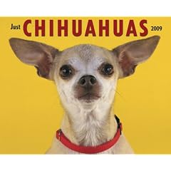 Just Chihuahuas 2009 Calendar