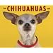 Just Chihuahuas 2009 Calendar