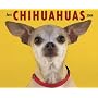 Just Chihuahuas 2009 Calendar