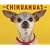 Just Chihuahuas 2009 Calendar