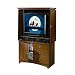 Sauder Fruitwood Finish Entertainment Armoire