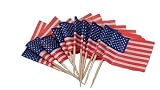 Flag Picks 144 pc