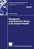 Produkt-Bild: Management wetterinduzierter Risiken in der Energiewirtschaft (Schriften zum europ&auml;ischen Management)
