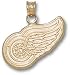 Detroit Red Wings Logo 5/8 Charm/Pendant -14K/10K, Stainless Steel or Gold Plated