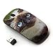 KOOLmouse [ Optical 2.4G Wireless Mouse ] [ Siamese Cat Blue Eyes Feline Thai ]