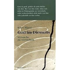 Gott im Diesseits: Versuche zu verstehen