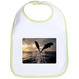 Baby Bib Kiwi Dolphins Flying in Sunset