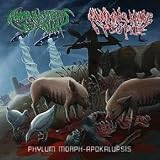 Phylum Morph-Apokalupsis