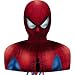 Spiderman Flat 18in x 15in Pull String Pinata