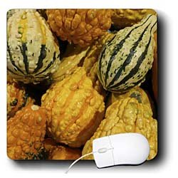 Florene Food and Beverage - Fall Squash - Mouse Pads