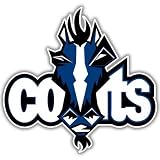 Indianapolis Colts NFL Football bumper sticker 5" x 5"