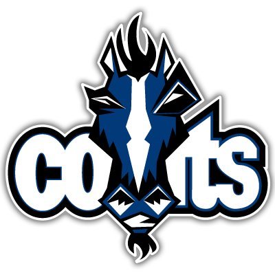 Indianapolis Colts NFL Football bumper sticker 5