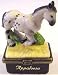 Appaloosa Horse Porcelain Hinged Box