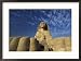Sphinx Paws and Stella at Giza Pyramids Complex, Egypt Collections Framed Photographic Poster Print by Claudia Adams, 29x21