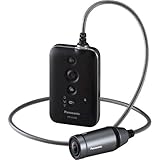 Panasonic HX-A100 Wearable HD Digital Camcorder (black)