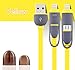 Lightning USB Cable, Smilism [2 Pack] 3.3ft Lightning & Micro USB Charging Cord for Iphone 6 6 Plus 5 5s 5c, Ipad Air, Sumsung, HTC, Motorola, Nokia and Other Android Phones Tablet (Yellow,Green)