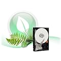 Western Digital WD5000AZRX Caviar Green 500GB interne Festplatte (8,9 cm (3,5 Zoll), 5900rpm, 8,9ms, 64MB Cache)