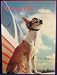 chihuahua45 - CarryOns TRAVELING CHIHUAHUAS Boxed Set of 20 Note