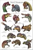 (24x36) Weird Dinosaurs Educational Paleontology Science Chart Poster