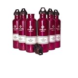 Lifeline Stainless Steel Water Bottle 40oz 6-pack Pink Best Prices