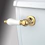 Polished Brass Porcelain Flush Lever