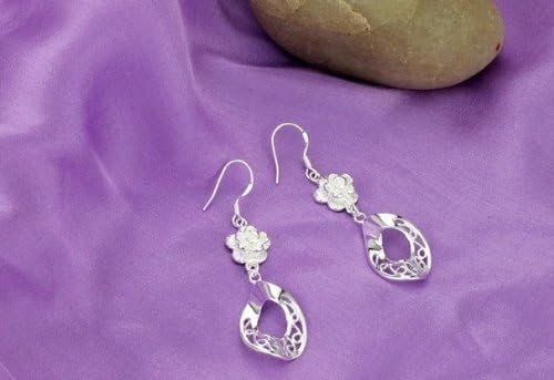 Aegean Jewelry Titanium Lady's Charming Drop Earring with a Gift Box and a Free Small Gift