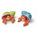 Nautical Hermit Crab Mates Salt & Pepper Shaker S/P