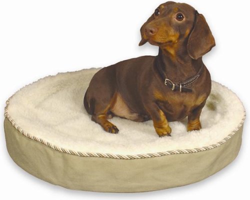 Childrens Toyshop  Sporting Goods : Gel Pedic Orthopedic Repel-a-Flea 24