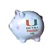 Miami Born to be Piggy Bank
