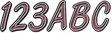 HARDLINE 400 PWC KIT BUR/BLACK ~ HARDLINE PRODUCTS SRP ENT.,INC ~