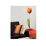 Plage  Tulipe Droite (Straight Tulip)