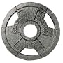 Olympic Grip Plate 10LB (EA)