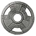 Olympic Grip Plate 10LB (EA)