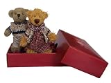 Review Teddy Delivery  / Great Gift for Grandma and Grandad - Send Our Lady & Gentleman Teddy Delivery To Deliver Your Special Message (Add Accessories Like Miniature Rings or Gifts For Your Teddy to Deliver). FREE Gift Card/Message Service - Anniversary Gift, Thank You Gift