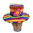Rainbow Striped Clown Hat - Adult Std.