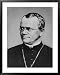 Gregor Johann Mendel Austrian Botanist Framed Art Poster Print, 31x39