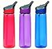 Contigo Autospout Addison Water Bottle, 24 oz - Watermelon, Lilac & Monaco (3 Pack)