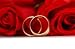 Red Roses and Rings Isolated on the White Background - 36