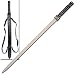 Blade Sword of the Daywalker
