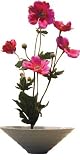 �s���ԁE�ԕr�tF-style vase Anemone�i�A�l���l�j
