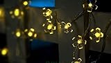 RioRand®サクラの花　LEDストリングライト　イルミネーションLEDライト　乾電池式 庭、クリスマス、パーティー、結婚式の場合に効果抜群！ (イエロー, 4メートルLED40個付き)