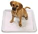 Clearquest Puppy Pad Holder