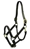 Gatsby Classic Raised Halter